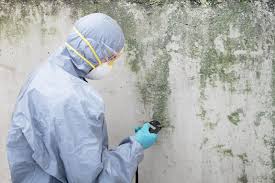 Best Mold Remediation for Healthcare Facilities  in Stratford, CA